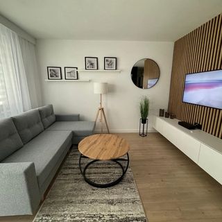 Vip Apartamenty Grabskiego (3)