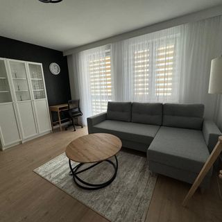 Vip Apartamenty Grabskiego (4)