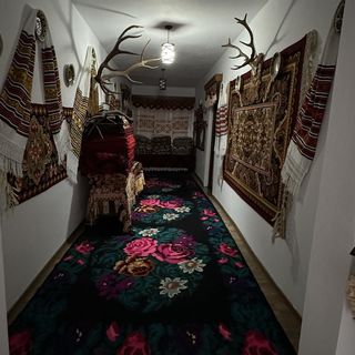 Căsuța de sub Piatră Colibița (4)