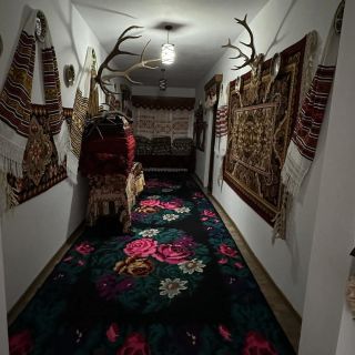 Căsuța de sub Piatră Colibița (4)