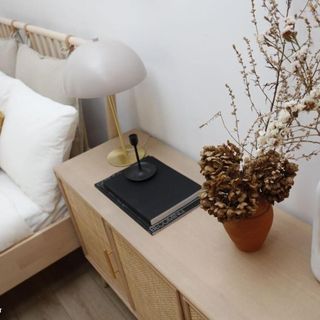 Tranquil Studio Oasis with Chic Decor București (4)