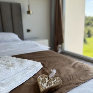 Vila The Nest Borşa (5)