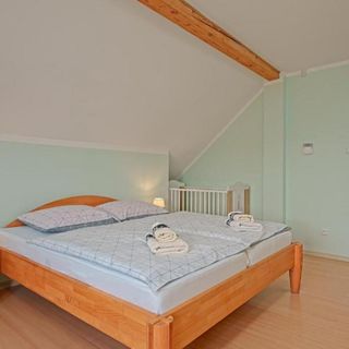 Willa Pod Brzeźnikiem Mysłakowice (2)