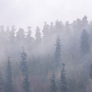 Plażowa 6/15 ApartView (5)