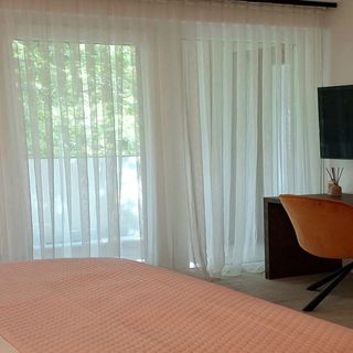 Starlight Rose Szeged (3)