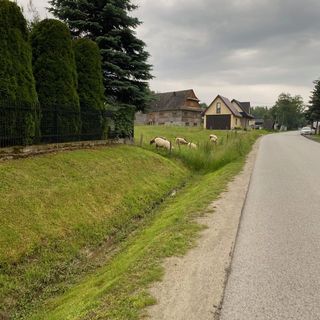 Leśne spa - dom na wyłączność (4)