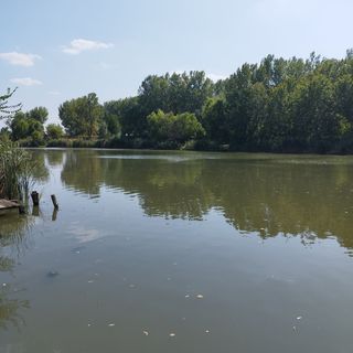 Holiday Vendégház Békésszentandrás (5)