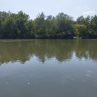 Holiday Vendégház Békésszentandrás (5)