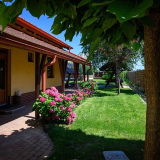 Álomkert Vendégház Békésszentandrás (2)