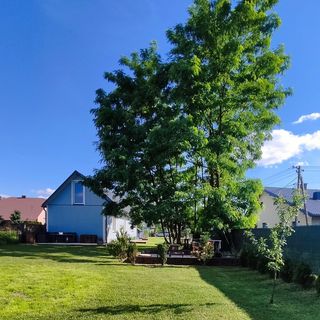 Wita Domek na Roztoczu, Ruda Różaniecka (4)