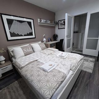 Cseppecske Apartman Pécs (4)