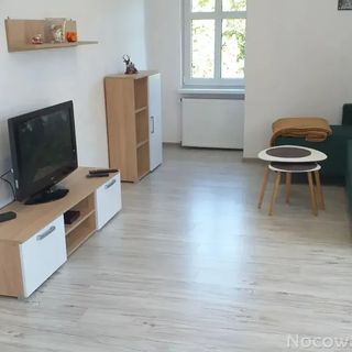 Apartament przy Papierni Duszniki-Zdrój (4)