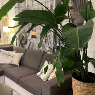 West Budapest Apartman Budapest (4)