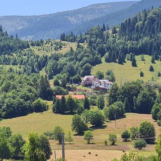 Pensiunea Perla Vlădesei Rogojel (3)