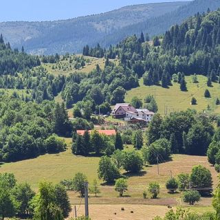 Pensiunea Perla Vlădesei Rogojel (3)