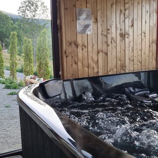 Pensiunea Perla Vlădesei Rogojel (4)