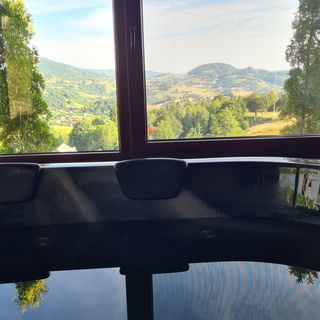 Pensiunea Perla Vlădesei Rogojel (5)