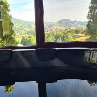 Pensiunea Perla Vlădesei Rogojel (5)