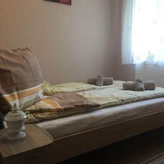 Tündér Vendégház Balatonvilágos (2)