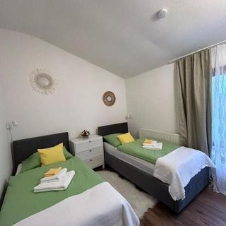 Villa Luiza B*** Şura Mare (3)