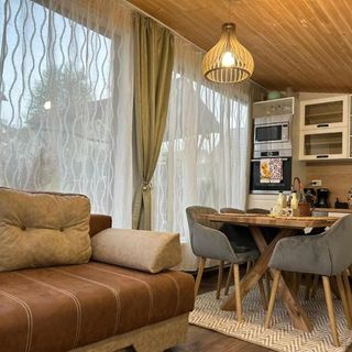 Villa Luiza B*** Şura Mare (5)