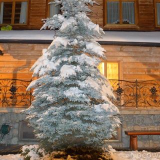 Willa Płazówka Murzasichle (4)