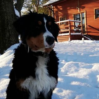 Domek Wiejska Sielanka Ustroń (5)