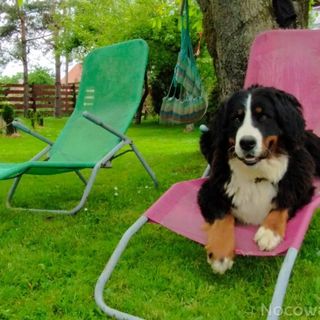 Domek Wiejska Sielanka Ustroń (3)