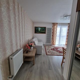 Apartament Dream Mountain 9 Bușteni (3)