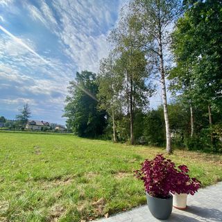 Domek pod Brzózkami Brodziaki (2)