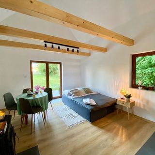 Domek pod Brzózkami Brodziaki (2)