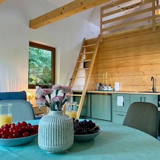 Domek pod Brzózkami Brodziaki (3)