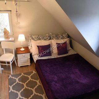 W Cieniu Świerka Kazimierz Dolny (5)