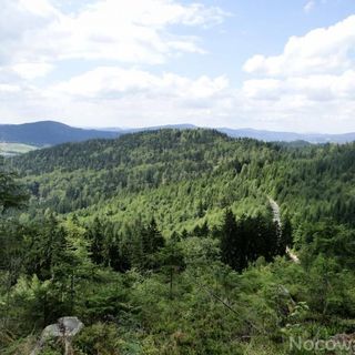 Apartamenty i domki Neve Istebna (5)