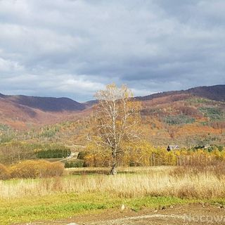 Pańskiemisie - Domki Całoroczne Sauna Jacuzzi Smerek (2)