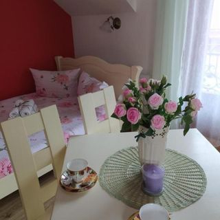 Willa Grono apartamenty i pokoje Krościenko nad Dunajcem (4)