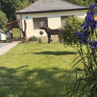 Zölderdő Vendégház Kishuta (3)