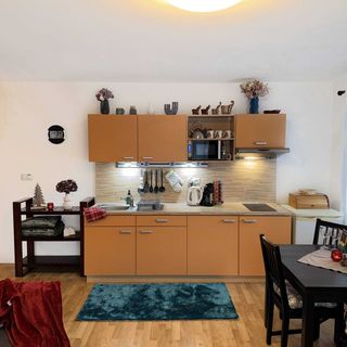 Apartman Nezabudka Nova Lesna (3)