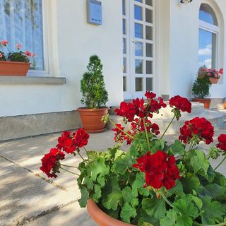 Körös-Sárréti Vendégház és Túrapont Vésztő (2)