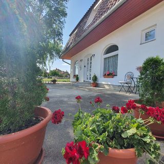 Körös-Sárréti Vendégház és Túrapont Vésztő (3)