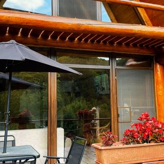 Lake View Cabin Coaș (5)