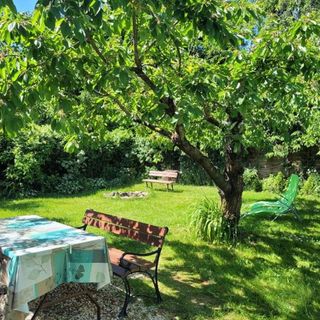 Saga Apartament Recław (4)