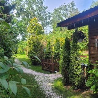 Saga Apartament Recław (5)