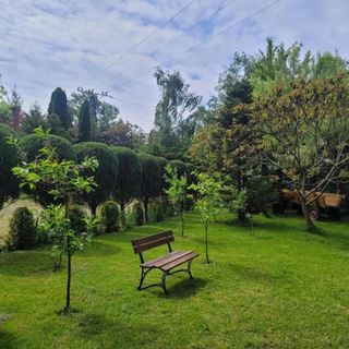 Saga Apartament Recław (5)