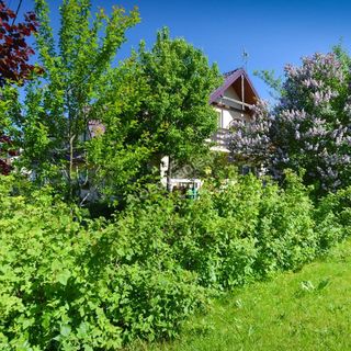 Bieszczadzka Aura Wetlina (4)