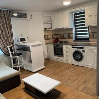 Apartament Micșunelelor Iași (4)