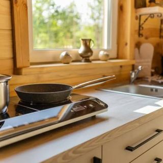 Zagajnik Białowieża (4)