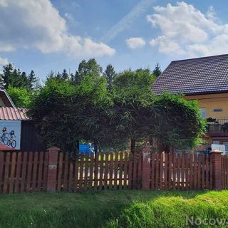 Pokoje Gościnne U Ewy Cisna (4)