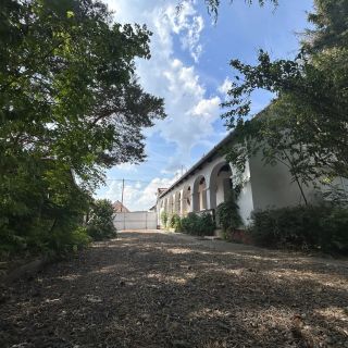 Mandulaág Vendégház Egerszalók (3)