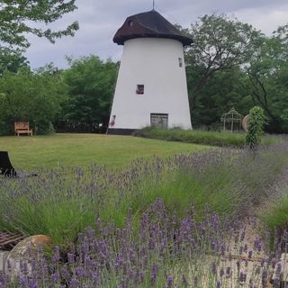 Malom Tanya Szatymaz (4)